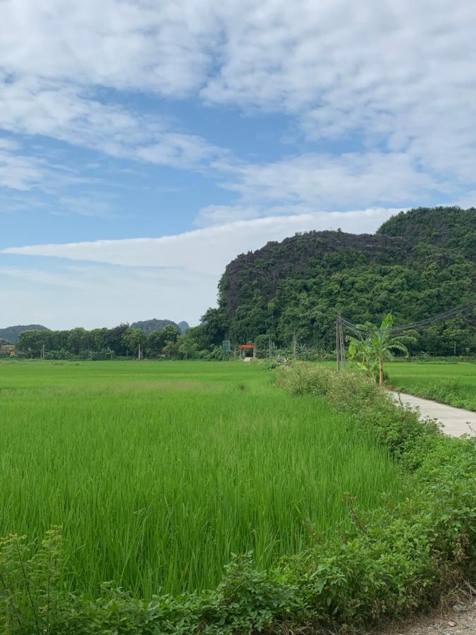 Tam Coc Wonderland Bungalow Ninh Binh Exteriér fotografie
